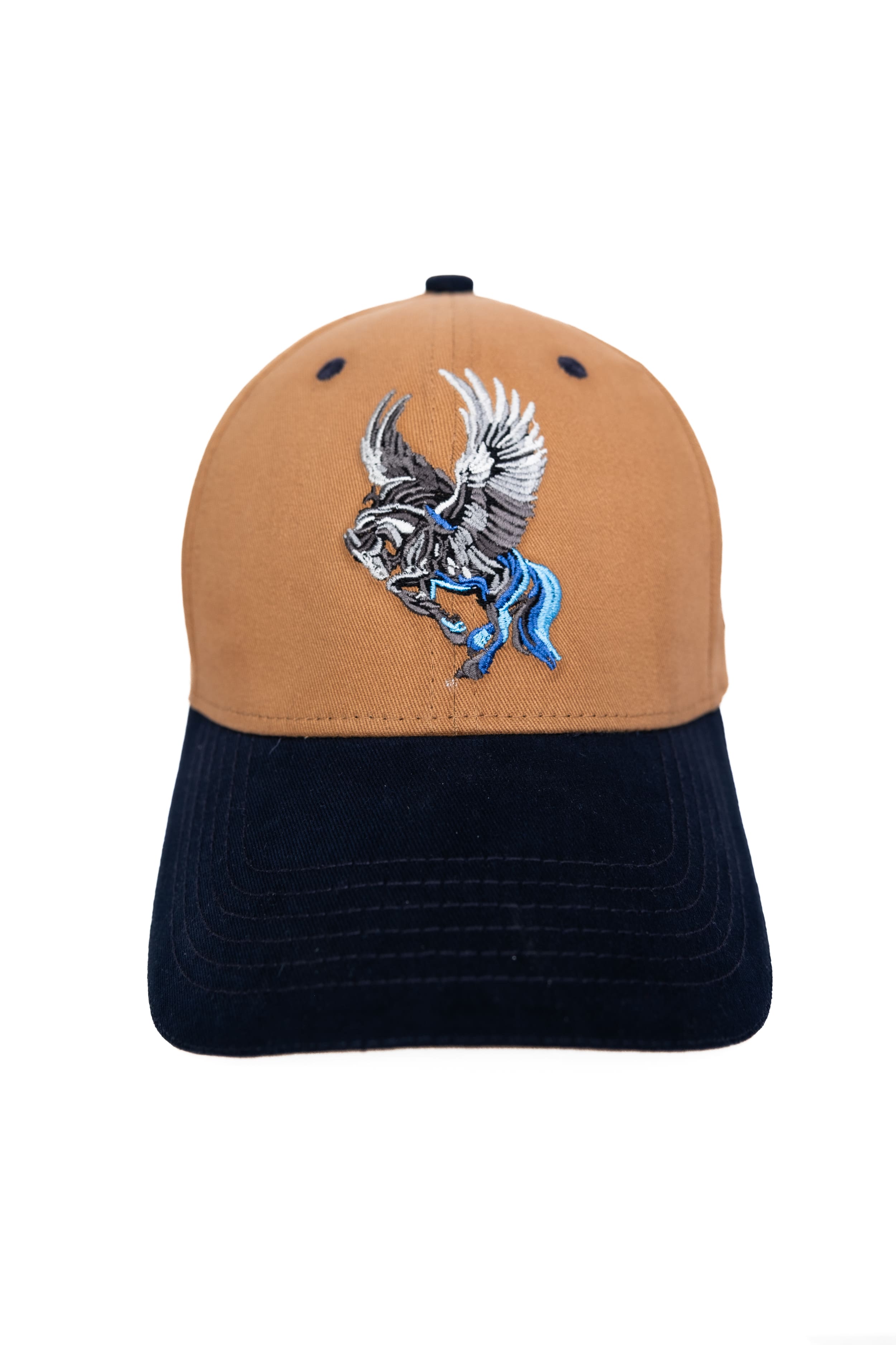 Pegasus - Dual tone mud/blue baseball cap
