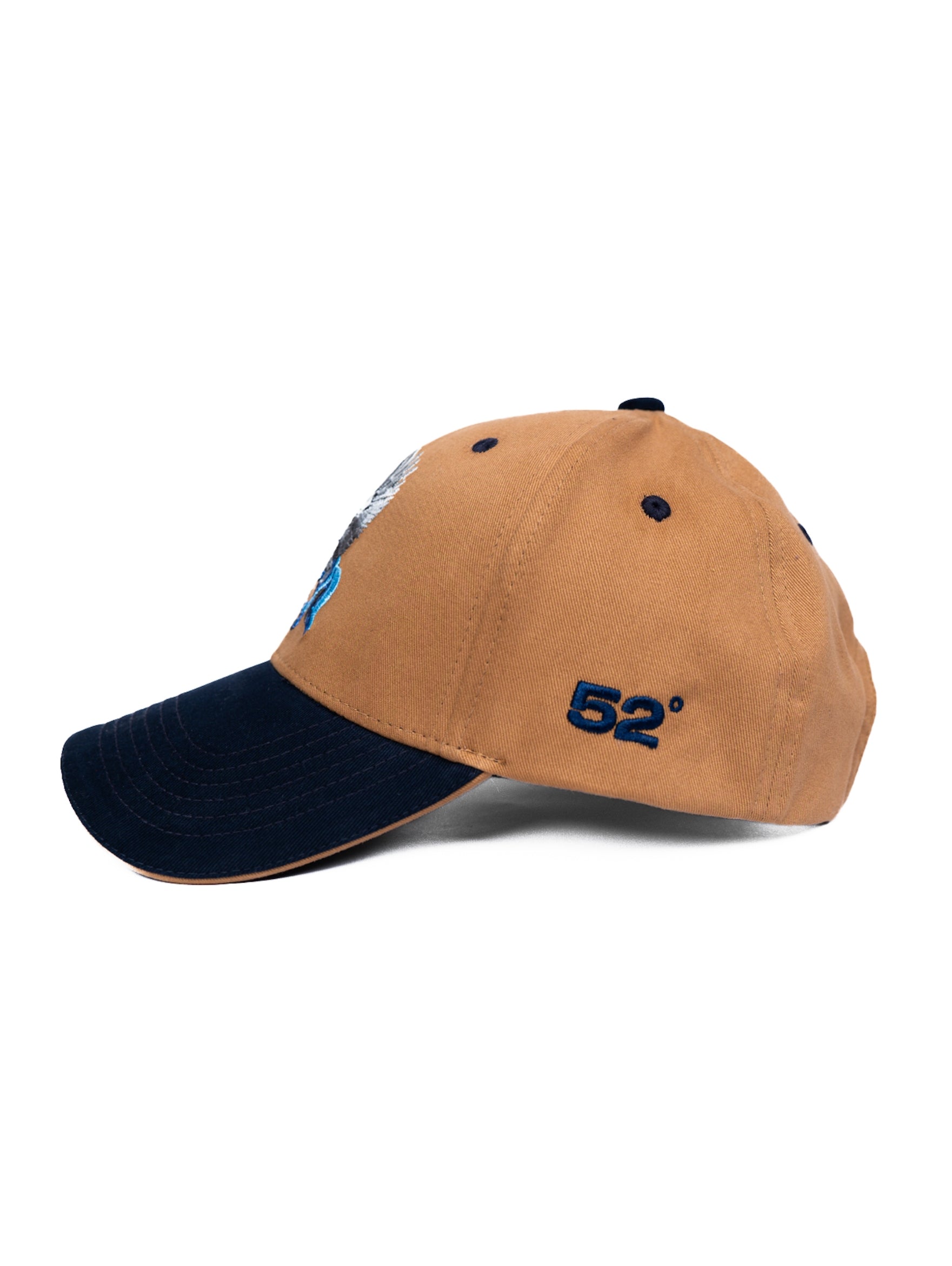 Pegasus - Dual tone mud/blue baseball cap